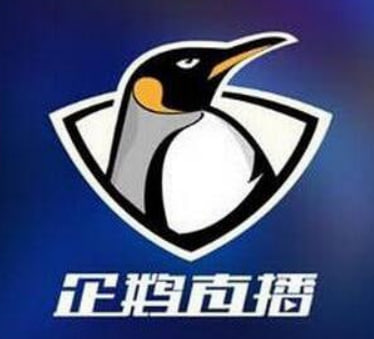 企鹅体育直播